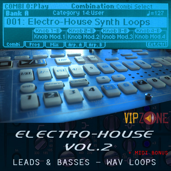 VIPZONE SAMPLES Electro House Synth Loops